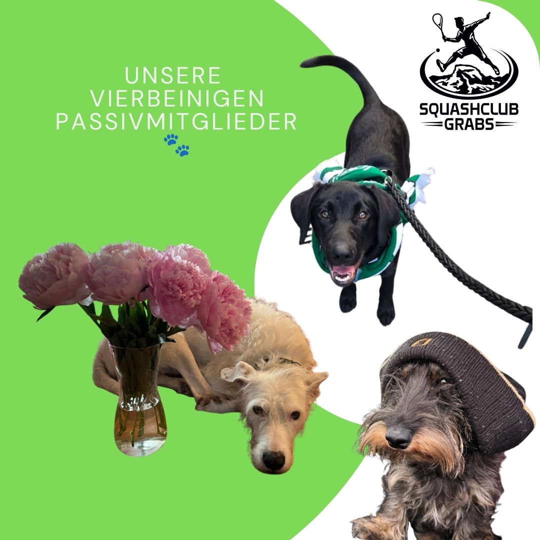 Generalversammlung 2026 – tierisch gut besucht!